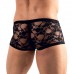 Boxer in pizzo. Boxer in pizzo.