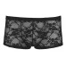 Boxer in pizzo. Boxer in pizzo.