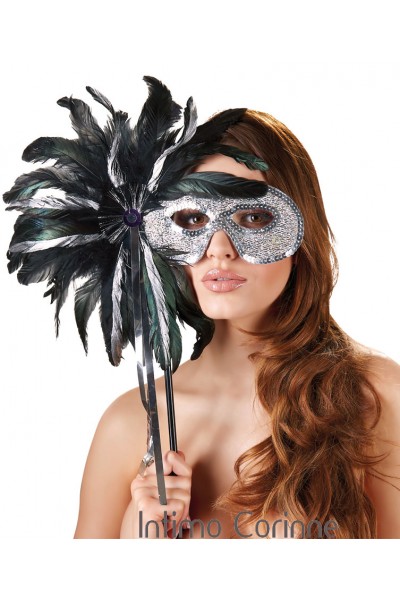 Maschera argentata con piume e bacchetta. Maschera argentata con piume e bacchetta.