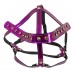 Imbracatura facciale color fucsia metallizzato con strass. Imbracatura facciale color fucsia metallizzato con strass.