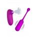 Kit ovetto vibrante wireless + stimolatore clitorideo. Kit ovetto vibrante wireless + stimolatore clitorideo.