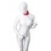 Anonymo: collare rosso con catena. Anonymo: collare rosso con catena.