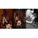 Ballerina: collant velato. Art. 543 Ballerina: collant velato. Art. 543