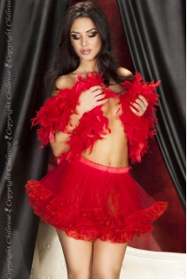 Gonna petticoat rossa in tulle. Gonna petticoat rossa in tulle.