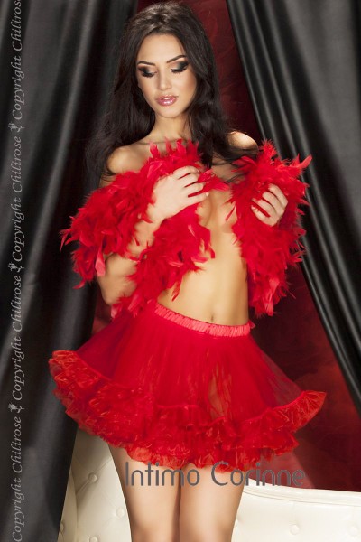 Gonna petticoat rossa in tulle. Gonna petticoat rossa in tulle.